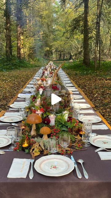 Les Diners Perchés on Instagram: "Détails de notre table dressée dans la forêt du Perche, fleurie par nos amis @aka.floraldesign & @armandfleuriste 🍂🕯️

•
•
•
#leperche #lesdinersperches #tableephemere #banquet #cuisineaufeu #tablesetting #tablescapes #tabledecor #tableware #flowers #vaissellevintage #vaisselleancienne #diner #foodevent #candlelight #candlelightdinner #outdoordining #diningexperience #weddingtable #weddingtablescape #diner #foodevent #nature #countryside #frenchcountryside #alfresco #automne" Nature Countryside, Buffet Set Up, Adele Songs, Buffet Set, Diy Party, Party Time, Tablescapes, Diner, Tableware