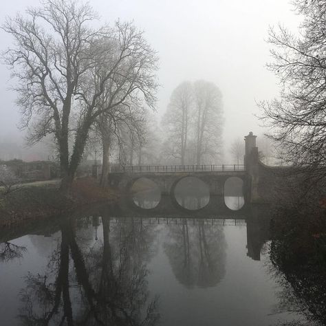 Fae Forest, Fog Aesthetic, Weird Vibes, The Secret History Aesthetic, Metal Claws, In The Pale Moonlight, Visual Archive, Gothic Aesthetic, White Swan