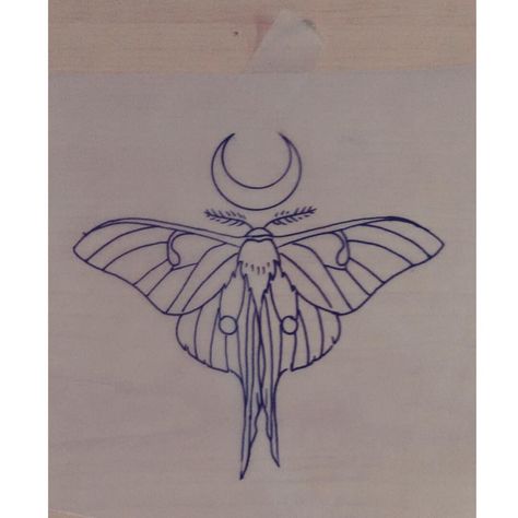 #luna #moth #drawing #by #Laura #Carney #tattoo #design #wow! at #Kiss of… Luna Moth Drawing, Lunar Moth Tattoo, Luna Moth Tattoo, Moth Drawing, Moth Tattoo Design, Lunar Moth, Petit Tattoo, Stick N Poke, Arte Grunge