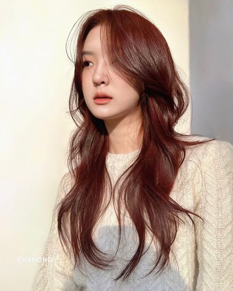 Cool Tone Brown Hair Asian, Red Brown Hair Color Asian, Copper Brown Hair Asian, Reddish Brown Hair Asian, Red Brown Hair Asian, Hair Color Ideas For Warm Skin Tone, Warm Tone Hair Color Ideas, Red Brown Hair Color Auburn, Red Chestnut Hair