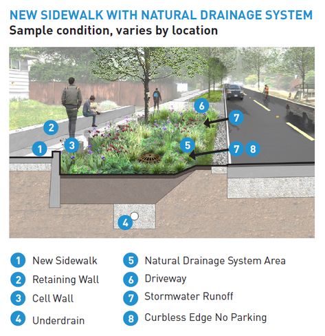 Street Landscape Design Sidewalks, Natural Drainage Landscaping, Sidewalk Design, Pervious Concrete, Landscape Drainage, Permeable Paving, Storm Water, Urban Design Concept, System Architecture