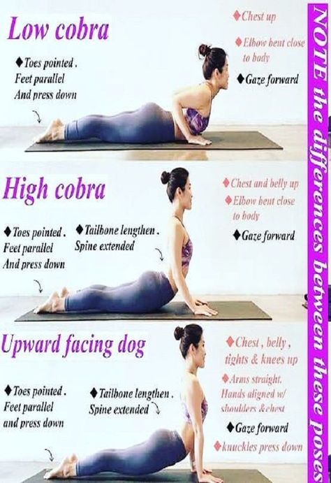 How to do better of cobra pose? Credit: @swaminiyog Our blog post gives more benefits about our cobra post.Worth looking into. #yoga #cobra #pose #right #way #to-do #how-to #better #exercise #fitness #benefits Block Exercises, Hata Yoga, Upward Dog, Yoga Nature, Upward Facing Dog, Body Transformations, Yoga Beginners, Cobra Pose, Dog Yoga