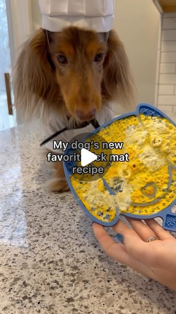 Roswell on Instagram: "Roswell’s Lick Mats are microwave-safe and perfect for this 1 ingredient recipe! He is obsessed👏 Lick Mat linked in my bio🥰 Microwave times may vary, I put it for 15 second intervals for about 1 minute total. Idea/recipe by @lunathetrickdog 💛 #lickmat #lickmatrecipe #homemadedogtreats #dachshund #lickmats" Dog Lick Matt Recipes, Dog Lick Mat Ideas, Dog Lick Mat Recipes, Lick Mat Recipes, Dog Lick Mat, Golden Doodle, Dog Recipes, Goldendoodle, Ingredients Recipes