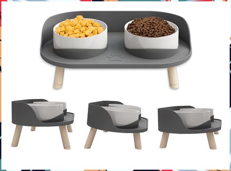 Elevated Cat Food Bowls with No-Spill Design, Raised Ceramic Cat Dog Bowls for Food and Water, 3 Adjustable Heights Anti Vomi Pet Bowls Stand, Cat Bowl Stand, Dog Water Bowl, Elevated Dog Bowls, Freedom Life, Food Bowls, Cat Dishes, Dog Water Bowls, Dog Food Bowls