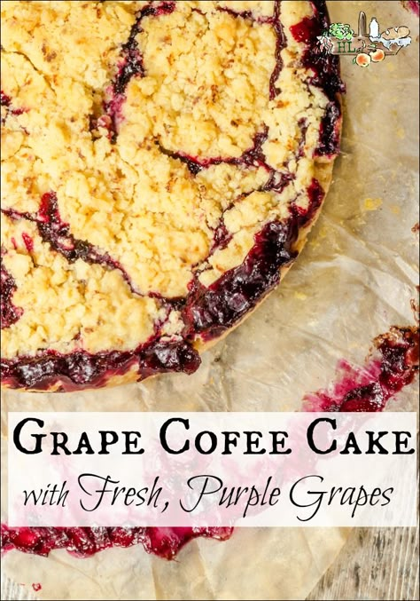 Grapes Dessert Recipes, Concord Grape Kuchen, Concord Grape Muffin Recipes, Blue Grapes Recipe, Grape Cobbler Recipe, What To Do With Homegrown Grapes, Recipes With Concord Grapes, Grape Jelly Dessert Recipes, Grape Breakfast Ideas