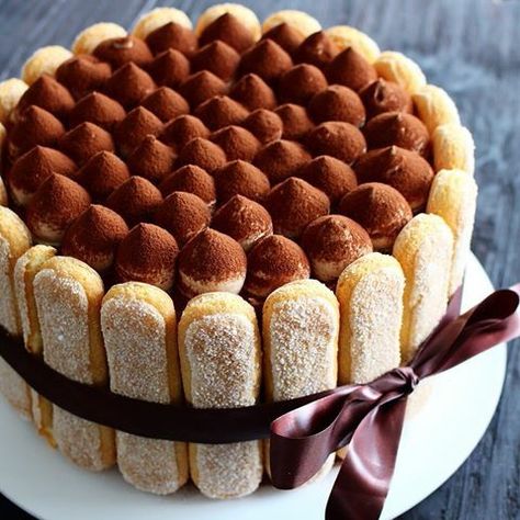 Tiramisu Cake Decoration Ideas, Tiramisu Decoration Ideas, Tiramisu Plating Ideas, Tiramisu Cake Design, Tiramisu Birthday Cake, Tiramisu Aesthetic, Charlotte Cake, Tiramisu Cake, Tiramisu Recipe