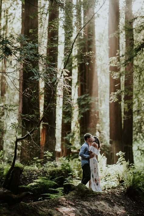 Engagement Photo Shoots, Engagement Photo Shoot Poses, Forest Engagement Photos, Fall Engagement Pictures, Forest Engagement, Cute Engagement Photos, Couple Engagement Pictures, Spring Engagement Photos, Engagement Shots