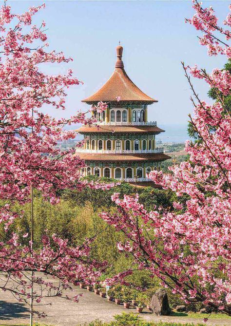 Wuji Tianyuan Temple: Taipei's Best Cherry Blossom Spot | Hoponworld Asia Beautiful Places, Taiwan Cherry Blossom, Taipei Taiwan Aesthetic, Taipei Aesthetic, Cherry Blossom China, Pretty Places To Travel, China Blossom, China Places, Beautiful Place In The World