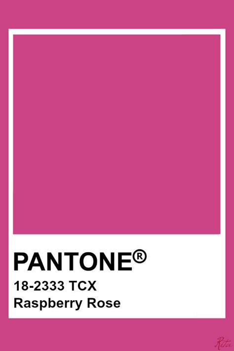 Pantone Color Names, Raspberry Aesthetic Pink, Pantone Pink Shades, Fuschia Pantone, Pantone Rosa, Pantone Raspberry, Magenta Pantone Colour Palettes, Pantone Viva Magenta Color Palette, Raspberry Aesthetic