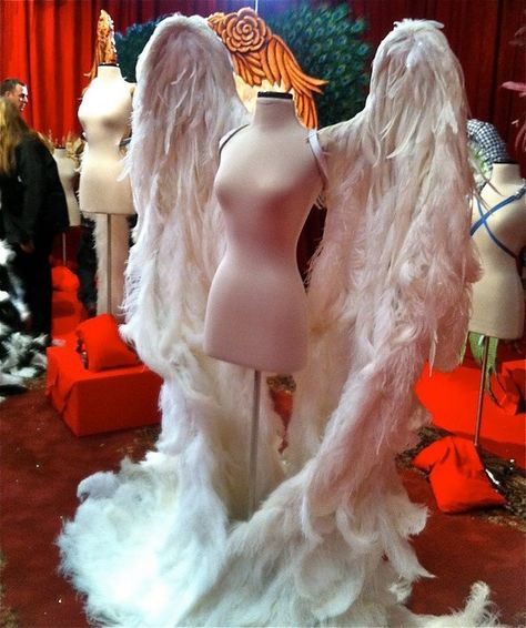 Beautiful Ostrich Feathers from The Feather Place Los Angeles & The Feather Place NYC on these VS Wings! That's right, @thefeatherplace source's these beauties every year for the VS Runway Show! #thefeatherplace #VSAngelWings Victoria Secret Wings, Victoria Secret Angel Wings, Fairytale Fashion, Vs Angels, Feather Wings, Wings Costume, Dress Forms, Fantasy Costumes, Victoria Secret Angels