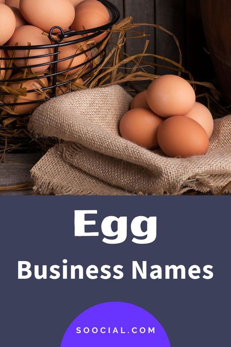 Egg Business Names, Egg Business, New Business Names, Business Names, Company Names, Name It, Creative Business, To Start, Egg