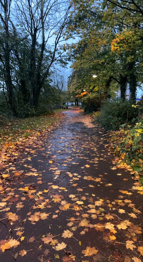 British Autumn Aesthetic, Uk Autumn Aesthetic, Early Autumn Aesthetic, Autumn Walk Aesthetic, Autumn Walks Aesthetic, Autumn Aesthetic England, Fall Aesthetic Vermont, Autumn Town Aesthetic, September Aesthetic