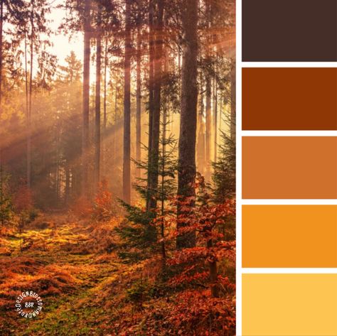 Autumn Forest Color Palette, Autumn Pallet, Eyeshadow Inspiration, Halloween Color Palette, Crocheted Shawls, Japan Autumn, Autumn Color Palette, Fall Color Schemes, Forest Falls