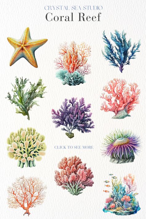 Vibrant watercolor coral reef themed clip art images for sale to download instantly. Free commercial use. Sea Coral Drawing, Coral Reef Sketch, Coral Reef Clipart, Coral Clipart, Watercolor Coral Reef, Sea Life Clipart, Coral Reef Drawing, Coral Drawing, Ocean Flowers