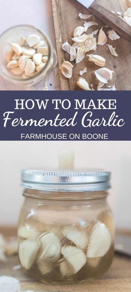 Fermented Garlic, Farmhouse On Boone, Apple Pie Recipe Homemade, Lacto Fermented, Fermented Veggies, Healthy Probiotics, Fermentation Recipes, Egg Recipes For Breakfast, Healthy Homemade Recipes