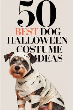 Up Halloween Costume With Dog, Easy Diy Pet Costumes, Black Dog Halloween Costumes, Creative Dog Costumes, Diy Dog Halloween Costumes, Dog Costumes Halloween, Dog Skunk, Funny Dog Costumes, Dog Costume Ideas