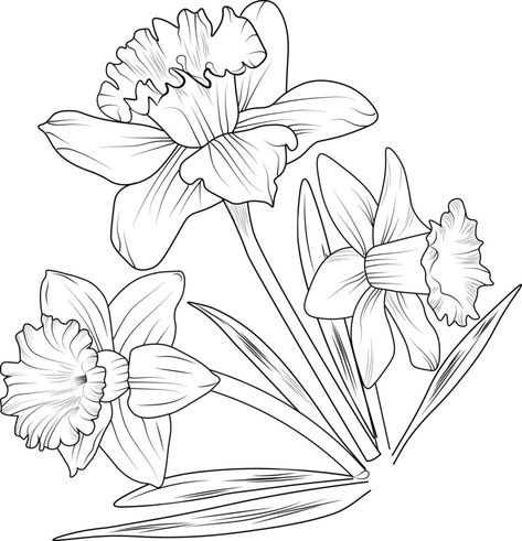 Daffodil flower Black outline drawing is perfect for coloring pages or books for children or adults. Daffodil Outline Drawing, Daffodil Outline, Flower Outline Drawing, Flower Outline, Outline Drawing, Daffodil Flower, Books For Children, Children Books, Flower Black