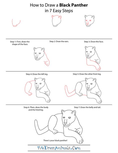 Head Step By Step, Black Panther Drawing, Rainforest Project, Black Panther Cat, Draw Black, Panther Cat, Panther Head, Draw Comics, Pinterest Course