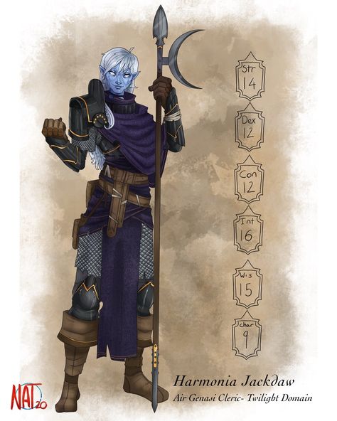 Twilight Domain Cleric, Dragons Character Design, Twilight Cleric, Air Genasi, Dnd Cleric, Heavy Armor, Pathfinder Character, Fantasy Figures, Dungeons And Dragons Characters