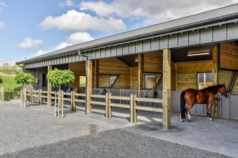 Modern Horse Barn, Horse Ranch House, Equine Property, New Zealand Countryside, Simple Horse Barns, Horse Stables Design, Horse Riding Arena, Dream Barn Stables, Storage Barn