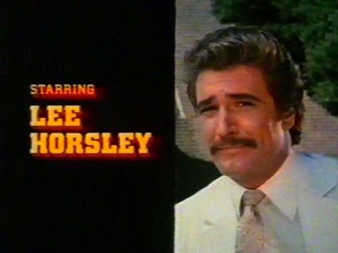 Matt Houston...Lee Horsley Lee Horsley, Old Shows, Old Tv Shows, Good Ole, Old Tv, Tv Drama, The Good Old Days, Back In The Day, Television Show