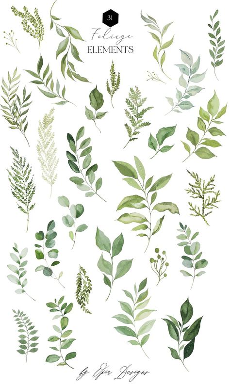 Greenery Clipart, Invitation Clipart, Frames Png, Watercolor Greenery, Illustration Botanique, Watercolor Bouquet, Summer Green, Wedding Clipart, Green Watercolor