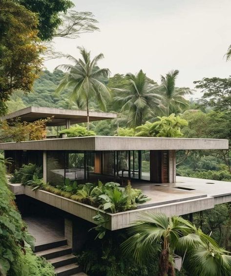 Modern Tropical House, Tropical House Design, Jungle House, Concrete Houses, Tropical Architecture, Architect Design House, Concrete House, Tropical House, Architect House