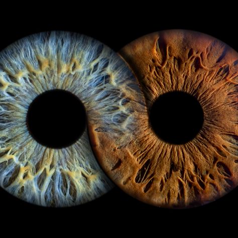 Iris Eye, Iris Art, Beauty Video Ideas, Eyes Artwork, Arte Alien, Eye Pictures, Photos Of Eyes, Cute Relationship Photos, Eye Photography