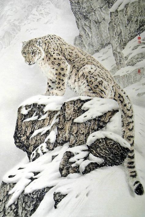 Wild Kingdom, Söt Katt, Exotic Cats, Charcoal Drawings, Large Cats, Big Cat, Amazing Animals, Snow Leopard, Beautiful Animals