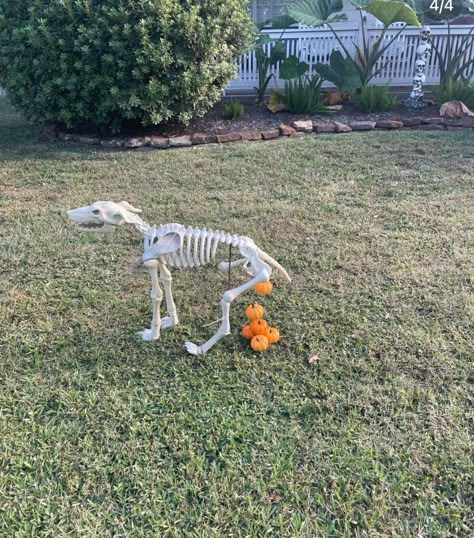 Skeleton Decorations Outdoor, Skeleton Poses, Halloween Comics, Skeleton Ideas, Celtic Festival, Halloween Outside, Arte Grunge, Classy Halloween, Creepy Halloween Decorations