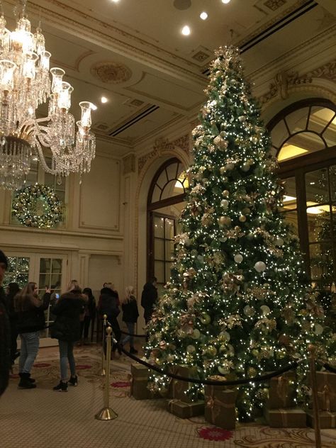 The Plaza Hotel Nyc Christmas, Plaza Hotel Christmas, Christmas At The Plaza, Nyc Christmas Aesthetic, Lux Christmas, Nyc Xmas, Unconventional Christmas Trees, Plaza Hotel New York, The Plaza Hotel Nyc