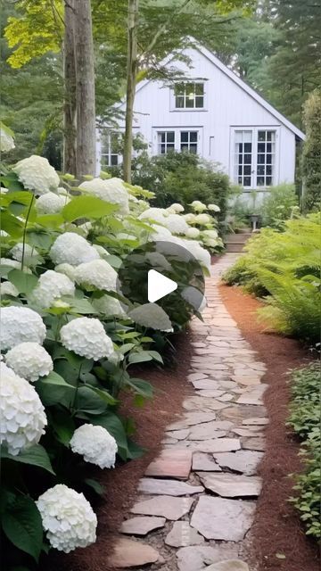 Mel Boyden | Green & Nature Inspired Interiors 🌿 on Instagram: "Hydrangeas forever 💚 Although, mine do not look like this at the moment! Even though I’m quite good at keeping plants alive, I always seem to kill my garden hydrangeas. I think they just need to be planted in the ground and left to it, not placed in pots around the patio! They’re thirsty beasts and I keep forgetting to water them!

A.I. Assisted Design - @melaniejadedesign" Keeping Plants Alive, Hydrangea Garden, Inspired Interiors, Green Nature, My Garden, Nature Inspired, Hydrangea, Nature Inspiration, Patio