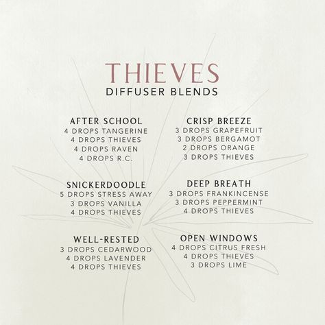 Diffuser Blends Thieves, Essential Oil Blends With Thieves, Thieves Essential Oil Blends, Thieves And Peppermint Diffuser Blend, Revive Essential Oil Diffuser Blends, Thieves Blend, Thieves Diffuser Recipes, Thieves Blends For Diffuser, Theives Oil Diffuser Recipes