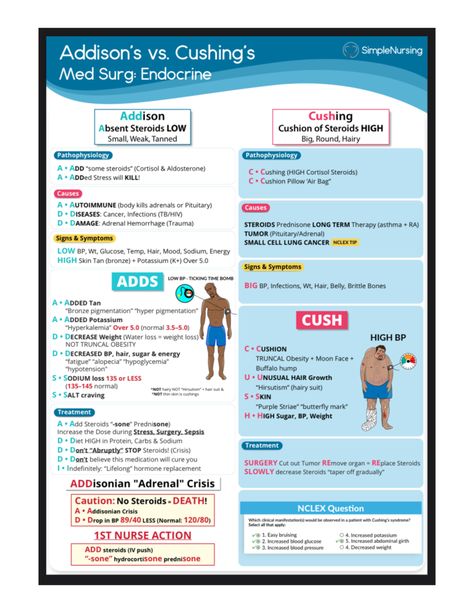 Endocrine simple nursing - nur101 - Studocu Endocrine System Notes Nursing Schools, Simple Nursing Study Guides, Endocrine Nursing, Simple Nursing, Pass Your Exams, Medical Study, Better Grades, Nursing Study Guide, Nursing Courses