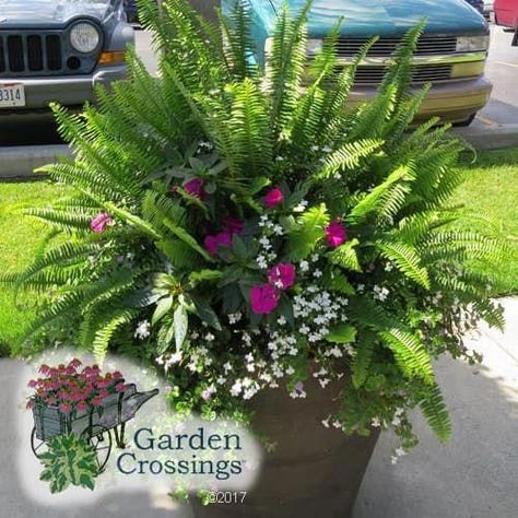 Porch Flowers, Container Garden Design, Container Gardening Flowers, Flower Pots Outdoor, Patio Plants, Garden Containers, Outdoor Flowers, Container Flowers, Outdoor Planters