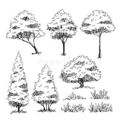 Trees Sketch, Architectural Trees, Tree Drawing Simple, Plant Sketches, Tree Sketch, Illustration Landscape, Architectural Illustration, Landscape Design Drawings, Tree Drawings Pencil