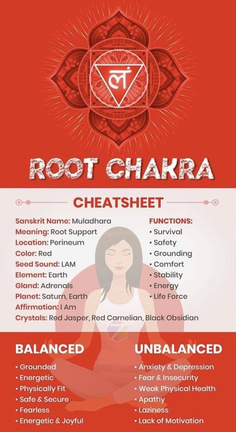 Chakra For Beginners, Root Chakra Meditation, Chakra Meanings, Chakra Mantra, Muladhara Chakra, Pelvic Bone, Chakra Work, Chakra Health, Kundalini Energy