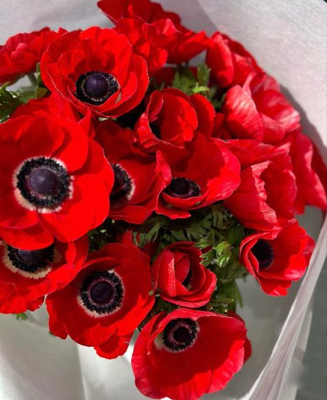 Red Poppies Bouquet, Red Anemone Bouquet, Anemone Aesthetic, Red Anemone Flower, Anenome Flower, Poppies Bouquet, Flowers Fade, Anemone Wedding, Anemone Bouquet