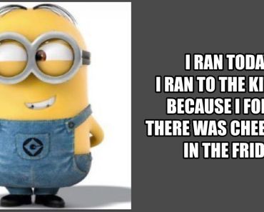 Minion Birthday Meme, Belated Birthday Meme, Happy Tuesday Meme, Funny Tuesday, Belated Birthday Messages, Happy Birthday Memes, Belated Birthday Greetings, Belated Happy Birthday, I Never Forget You