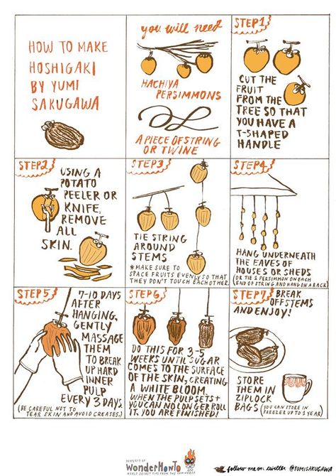 How To Dry Persimmons, Dehydrated Persimmons, How To Prepare Persimmons, Persimmon Aesthetic, Drying Persimmons, How To Eat Persimmons, Fermented Persimmon, Dry Persimmon, Dried Persimmons