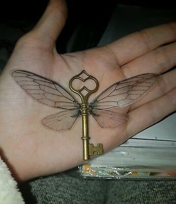 Harry Potter Flying Key Tattoo, Harry Potter Keys With Wings, Flying Key Tattoo, Harry Potter Keys, Flying Keys Harry Potter, Key Tree, Hedwig Tattoo, Harry Potter Flying Keys, Harry Potter Key