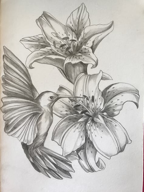 Hummingbird and Tiger Lily Hummingbird Flower Drawing, Lilies And Hummingbirds Tattoo, Hummingbird And Lily Tattoo, Hummingbird And Flower, Hummingbird Tattoo With Lilies, Lily And Hummingbird Tattoo, Hummingbird Lily Tattoo, Roses And Hummingbird Tattoo, Hummingbird Tattoo With Flowers Color