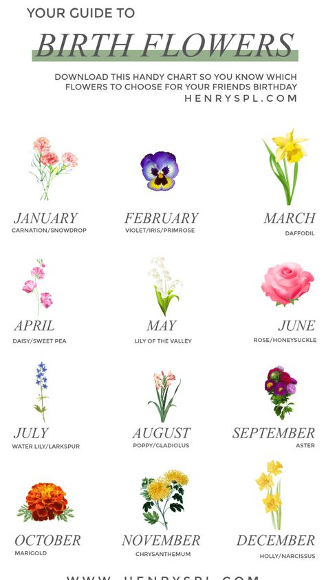 It's that time of year when you sit down with a cup of coffee, get cosy and fill out your calendar with everyones birthdays for the next 12 months. Get one step ahead by adding the flower that represents their birth month... because flowers are always a good idea! FREE CHART INSIDE! #tattoosforwomen #tattooideas Flower Chart, Birth Flower Tattoos, Geniale Tattoos, Flower Guide, Flower Meanings, 카드 디자인, Language Of Flowers, Month Flowers, Birth Month Flowers