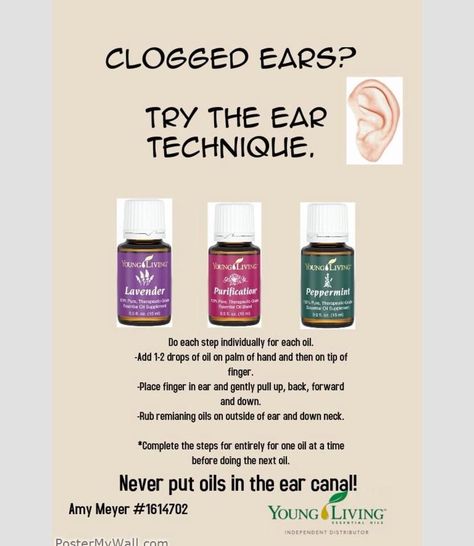 Oils For Ear Ache, Clogged Ears, Young Living Oils Recipes, Living Oils Recipes, Ear Ache, Healing Essential Oils, Essential Oil Diffuser Blends Recipes, Essential Oil Remedy, Young Living Essential Oils Recipes