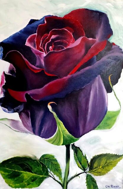 My favorite painting . oil on canvas 90×60 cm Painting Roses, Rose Flower Wallpaper, Watercolor Elephant, New Painting, Roses Drawing, Rose Art, Flower Art Painting, Rose Painting, Watercolor Rose