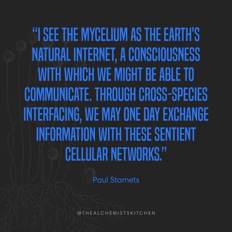 Mycelium Network Art, Paul Stamets Mushrooms, Fungi Quotes, Mushroom Facts, Mycelium Network, Allotment Planning, Rock Lifestyle, Paul Stamets, Dirt Girl