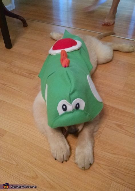 Sylvia: My golden retriever puppy is wearing the costume. His name is Yoshi and he is dressed up as Yoshi from the video game Mario Bros. He is named after that... Mario Dog Costume, Yoshi Dog Costume, Mario Costume Diy, Mario And Luigi Halloween, Luigi Halloween Costume, Yoshi Costume, Game Mario Bros, 2015 Halloween Costumes, Costumes 2024