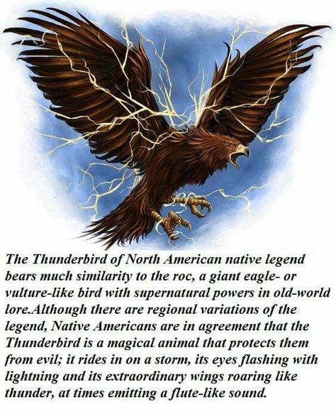 Thunderbird Mythology, Thunderbird Tattoo, Native American Myths, Native American Thunderbird, Native American Mythology, Thunder Bird, Native American Legends, Native American Tattoo, Medicine Wheel