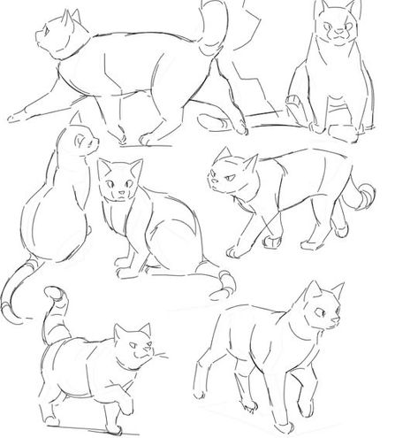 Drawing Tutorial Cat, Cat Eye Drawing, Cat Drawing Sketches, Cat Hand Drawing, Cat Drawings Simple, Drawing Ideas Cute, Cat Drawing Ideas, Sketches Drawing, Cat Drawing Tutorial