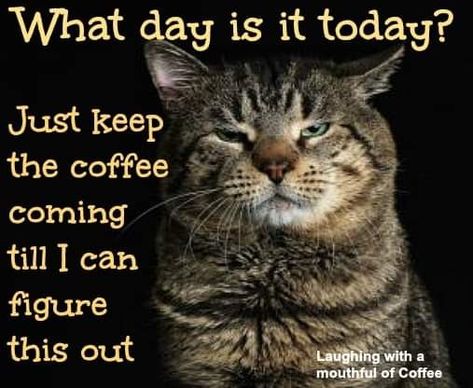 German Coffee Cake, Kaffe Humor, Coffee Pics, Work Funny, Life Sayings, Coffee Board, Friday Quotes, Coffee Stands, Coffee Talk